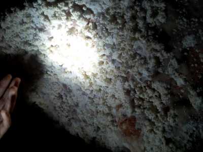 Esempio del fenomeno carsico dei pop corn